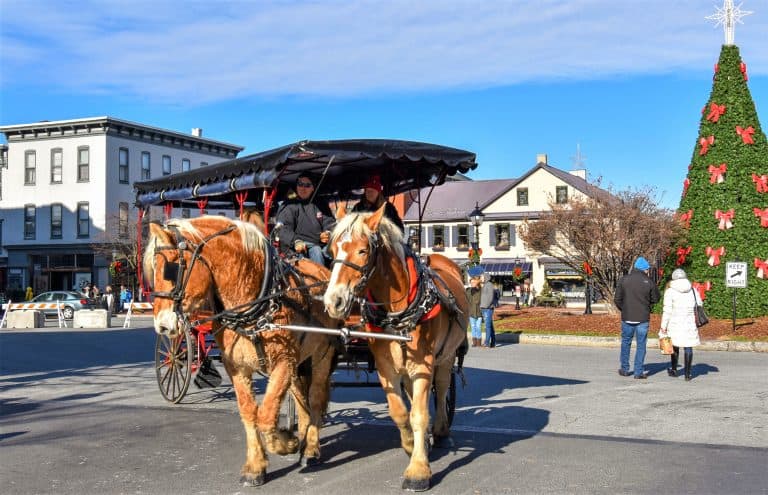 Two horses pull a wagon through downtown Gettysburg during the annual Christmas Festival.
