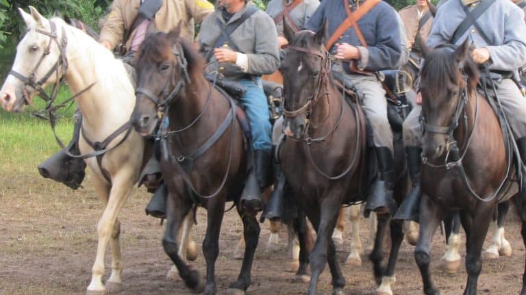 Civil War-era dressed cavalry riders and horses walk in a line at the 150th anniversary of the Battle of Gettysburg reenactment.