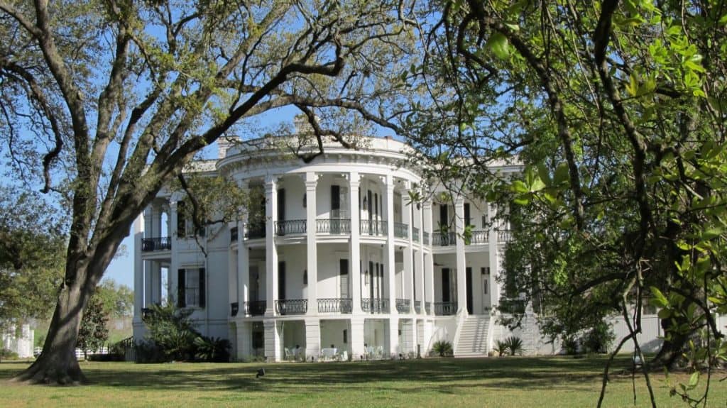 The oval front of the plantation house framed by a tree limb. The structure is three stories and white.