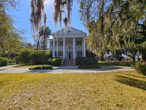The McLeod Plantation "big house" is framed with Spanish moss from a tree and the sun shining above in a blue sky. The house is two stories with 4 large white pillars dominating the facade.