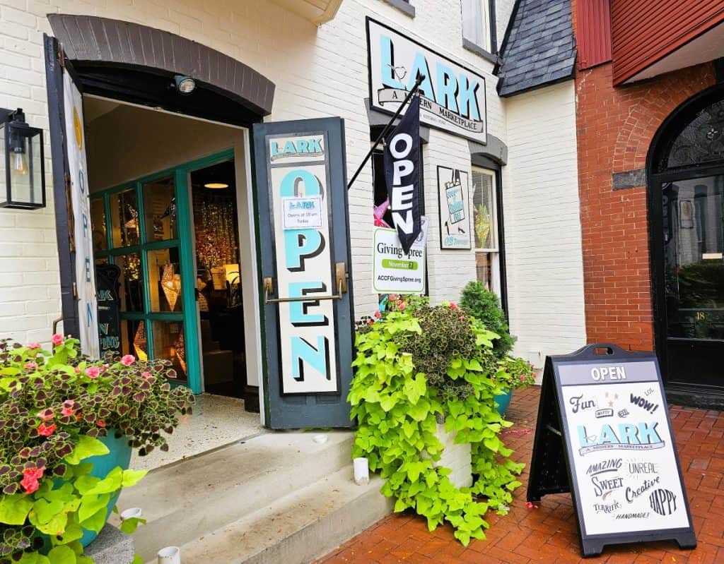 Flowers sit on a step with a large OPEN sign with open doors leading into the Lark shop.