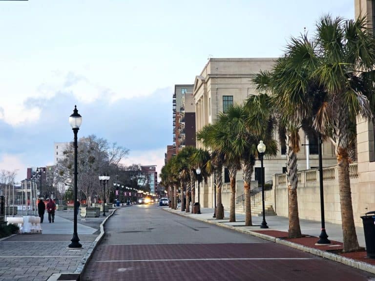 Must-see historic sites in Wilmington NC include the river walk, where a line of palm trees line the brick-paved road. There is black lamp post to the right.