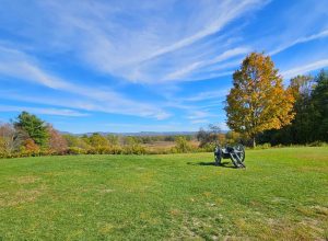 A cannon sits in a green field on the Saratoga Battlefield, making Saratoga a must-visit site for America 250.